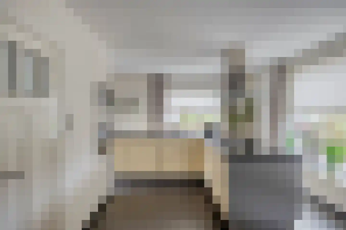 Cornelis Oomestraat 44 Raamsdonk thumbnail 24