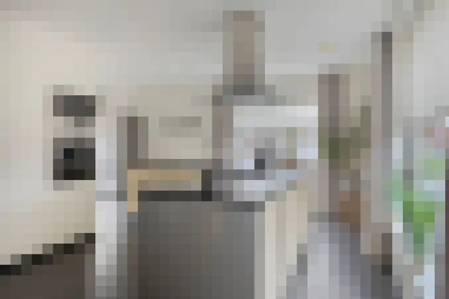 Cornelis Oomestraat 44 Raamsdonk thumbnail 25
