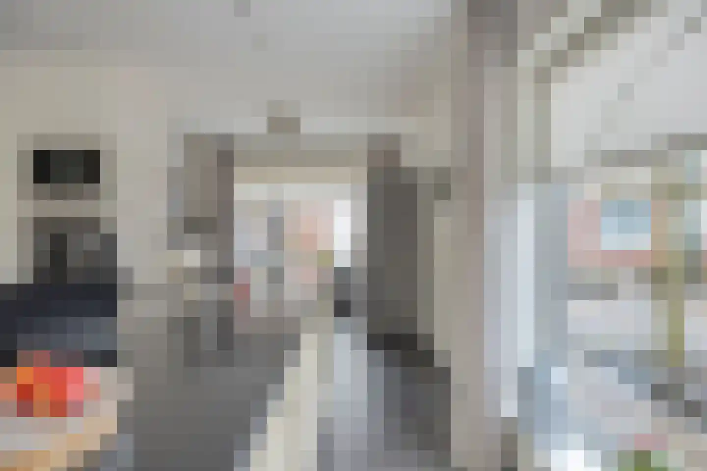 Cornelis Oomestraat 44 Raamsdonk thumbnail 28