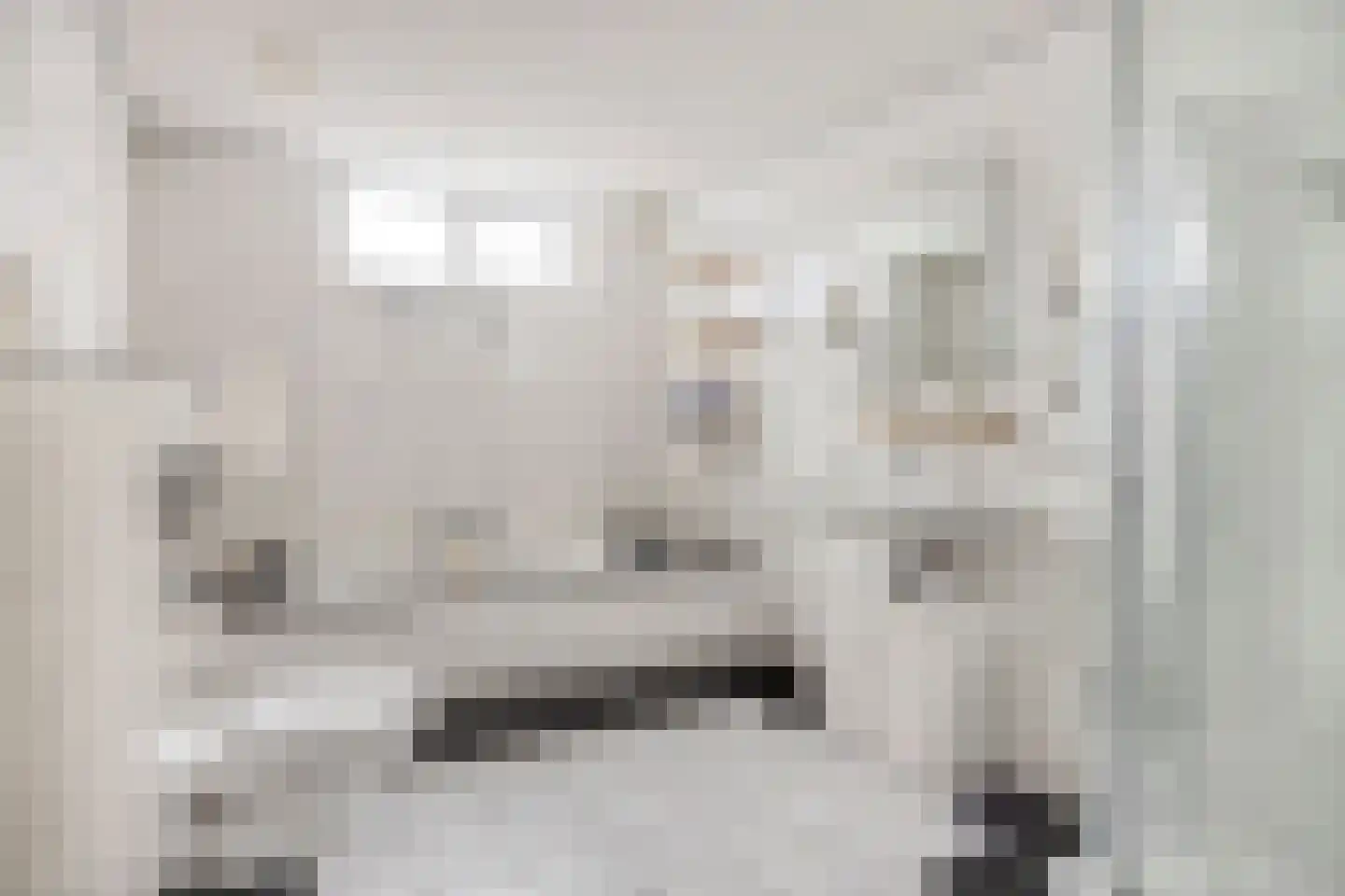 Cornelis Oomestraat 44 Raamsdonk thumbnail 34