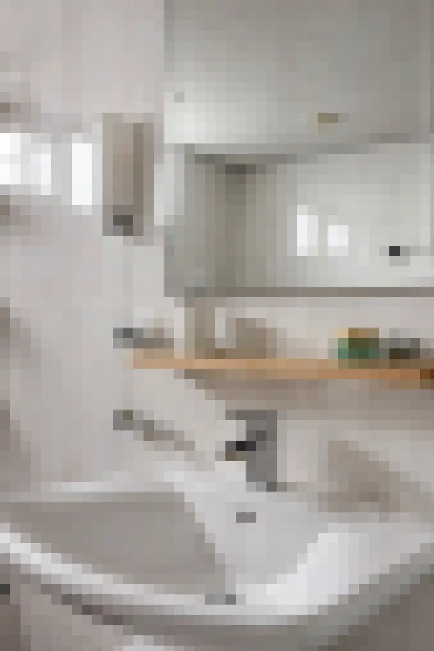 Cornelis Oomestraat 44 Raamsdonk thumbnail 36