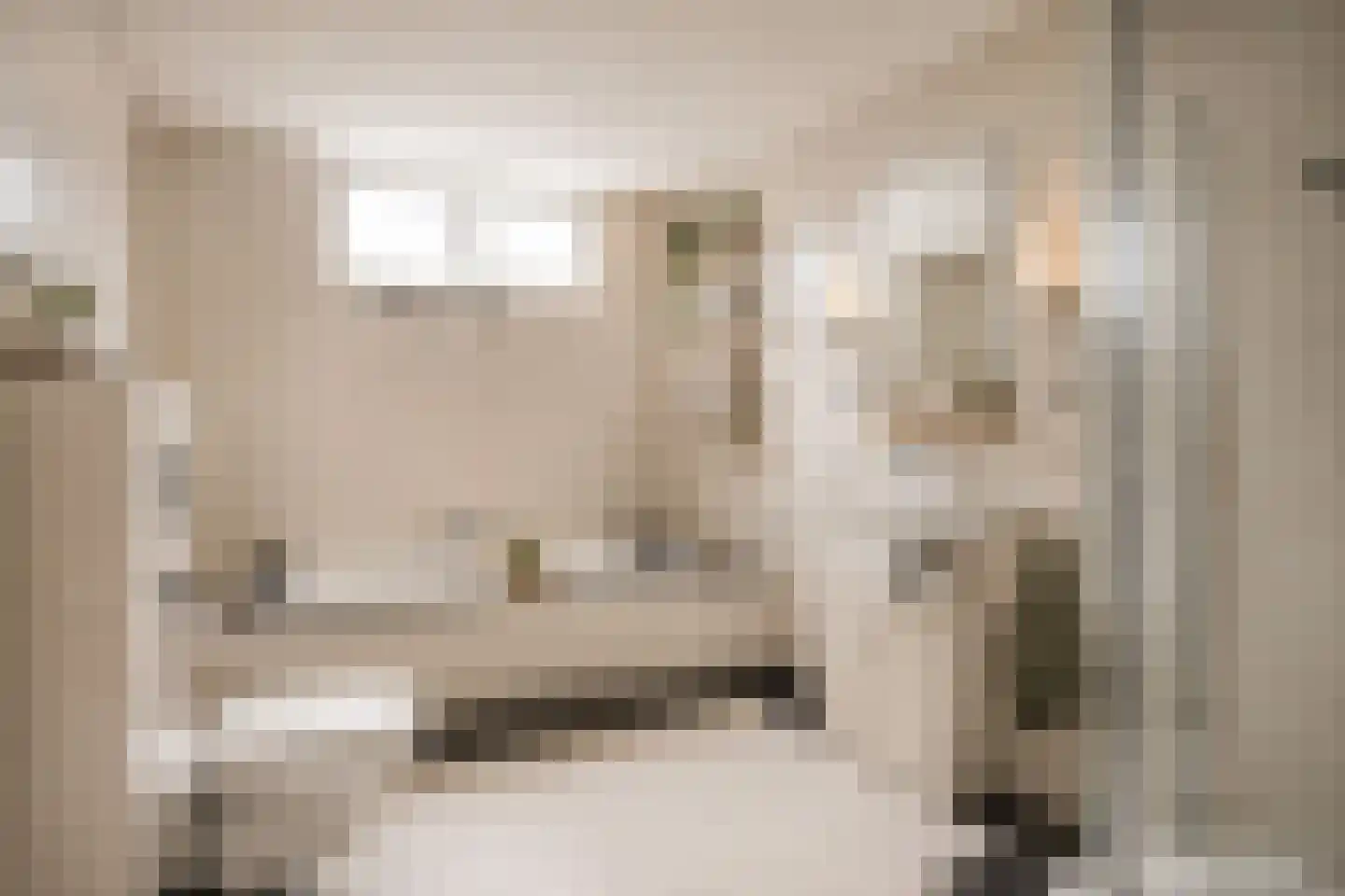 Cornelis Oomestraat 44 Raamsdonk thumbnail 36