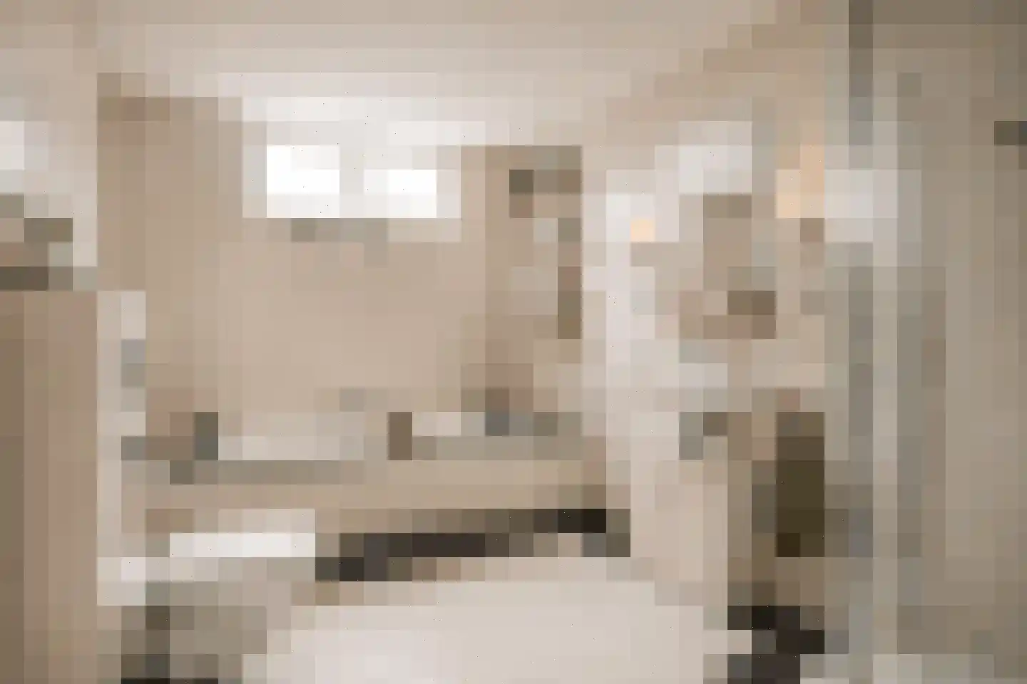 Cornelis Oomestraat 44 Raamsdonk thumbnail 38
