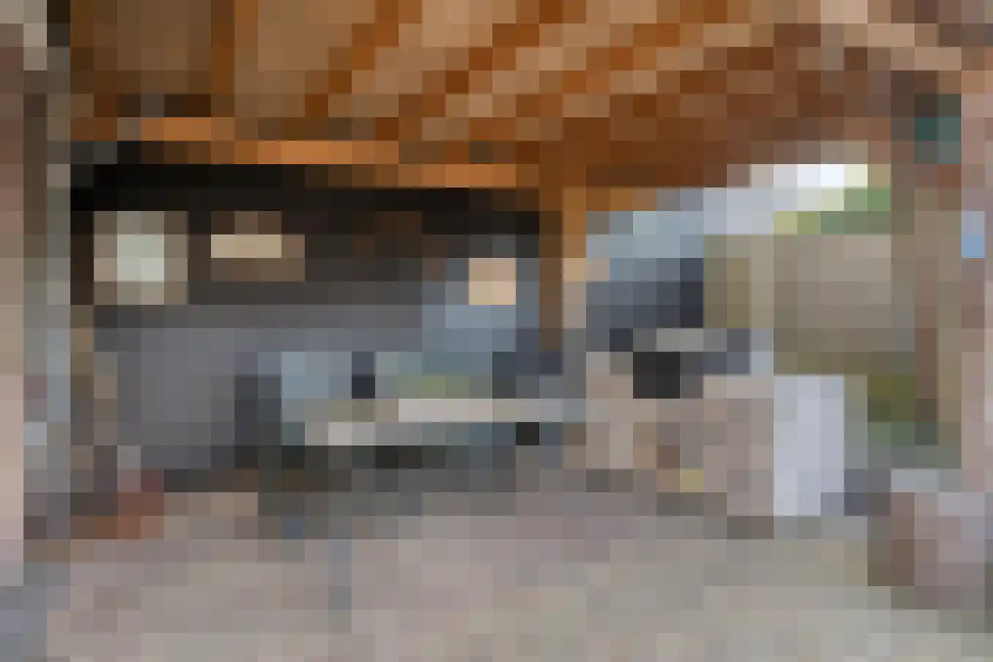 Cornelis Oomestraat 44 Raamsdonk thumbnail 51