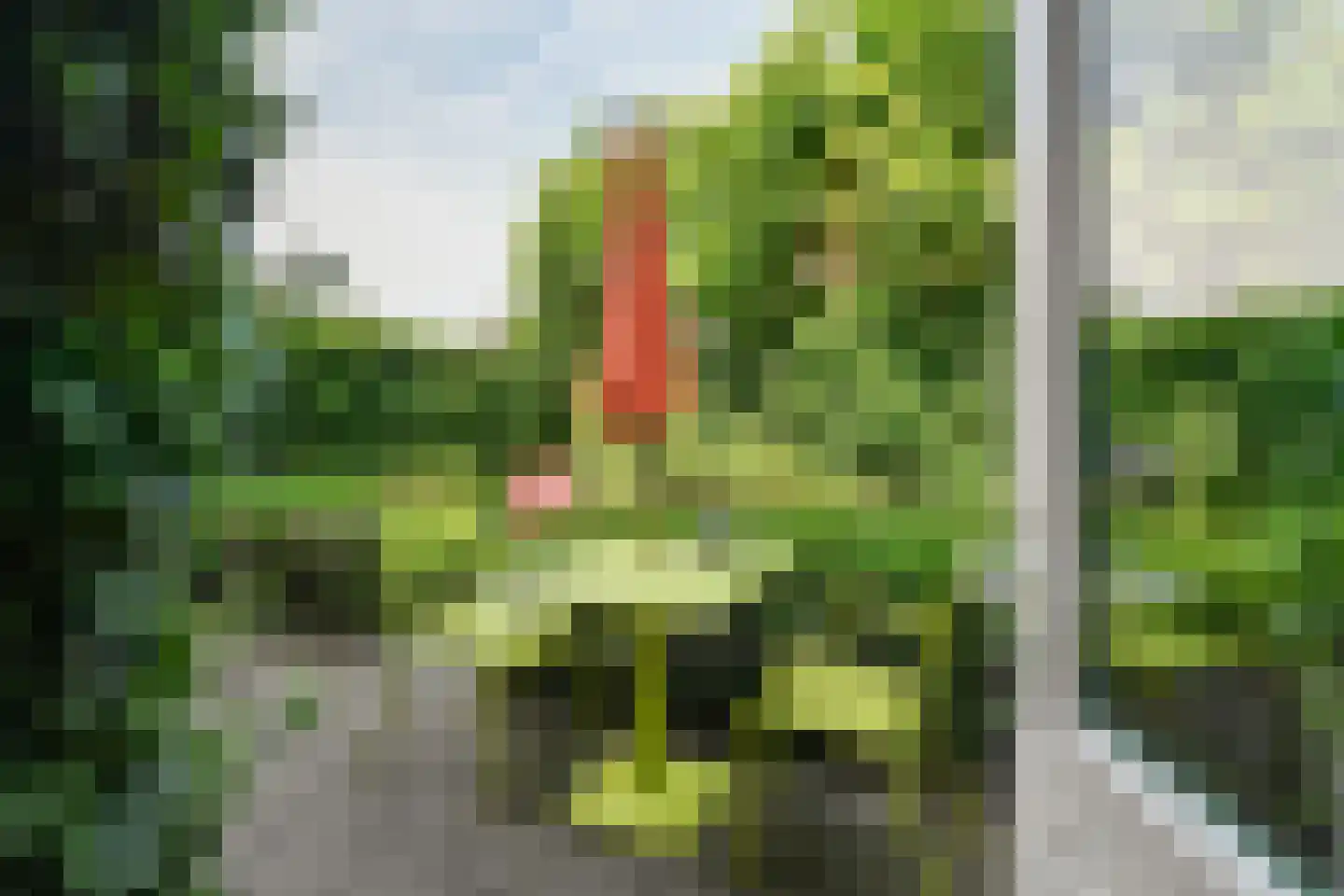 Cornelis Outshoornplaats 27 Arnhem thumbnail 32
