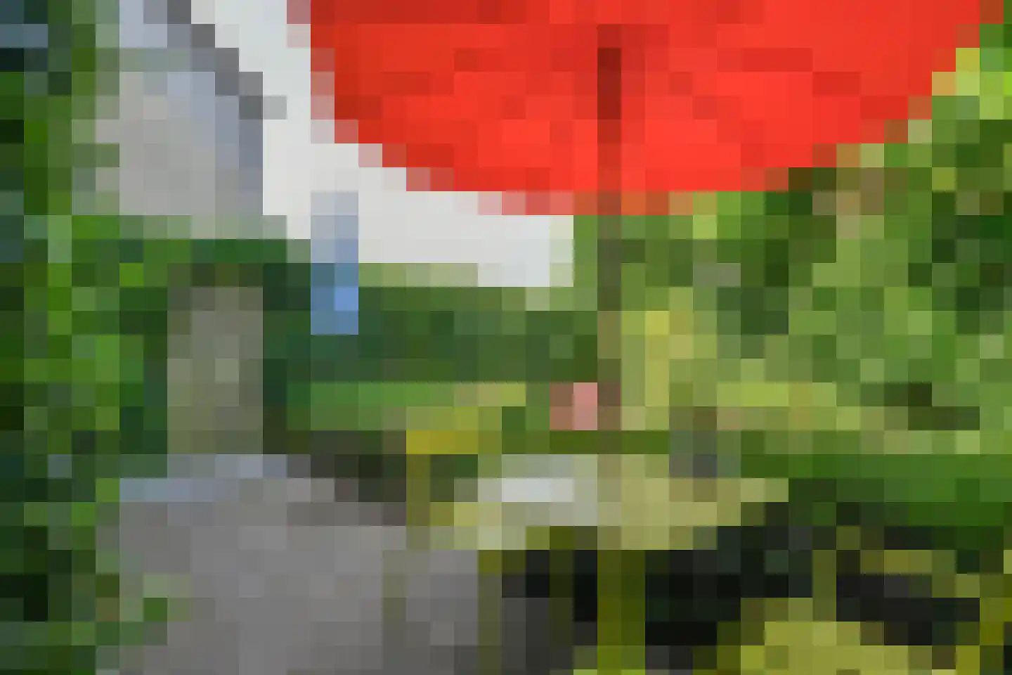 Cornelis Outshoornplaats 27 Arnhem thumbnail 37