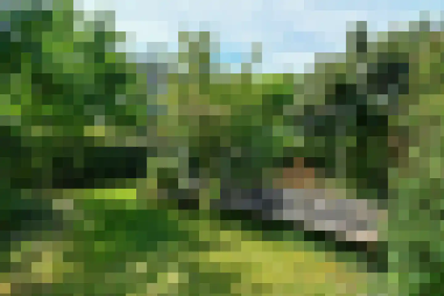 Cornelis Outshoornplaats 27 Arnhem thumbnail 41