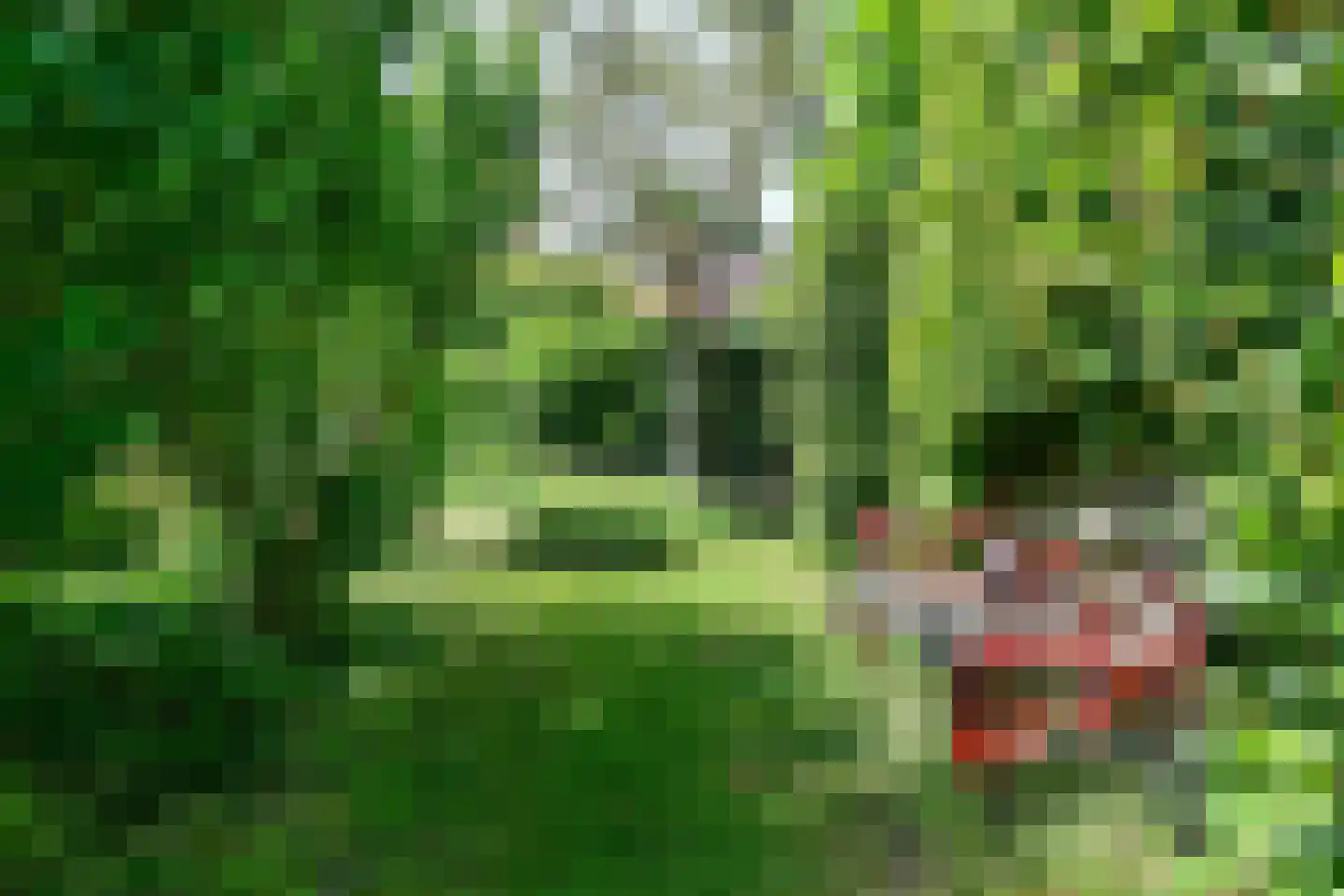 Cornelis Outshoornplaats 27 Arnhem thumbnail 44
