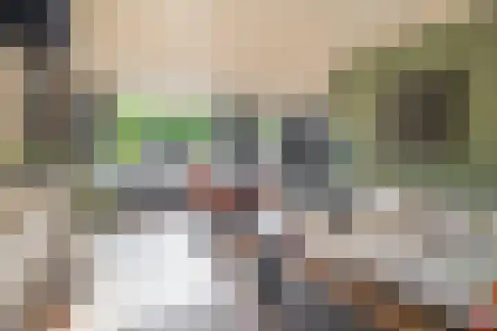 Cornelis Outshoornstraat 6 Rotterdam thumbnail 10