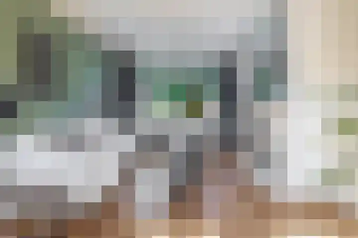 Cornelis Outshoornstraat 6 Rotterdam thumbnail 11