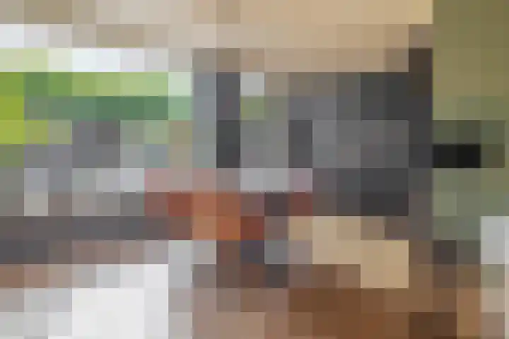 Cornelis Outshoornstraat 6 Rotterdam thumbnail 12
