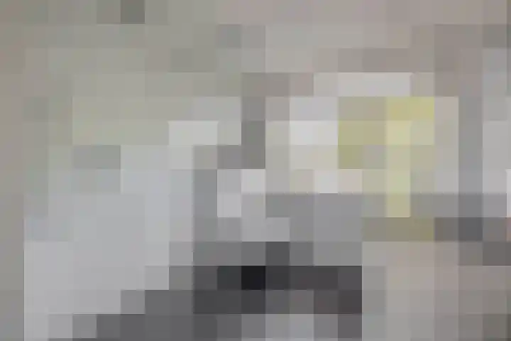Cornelis Outshoornstraat 6 Rotterdam thumbnail 23