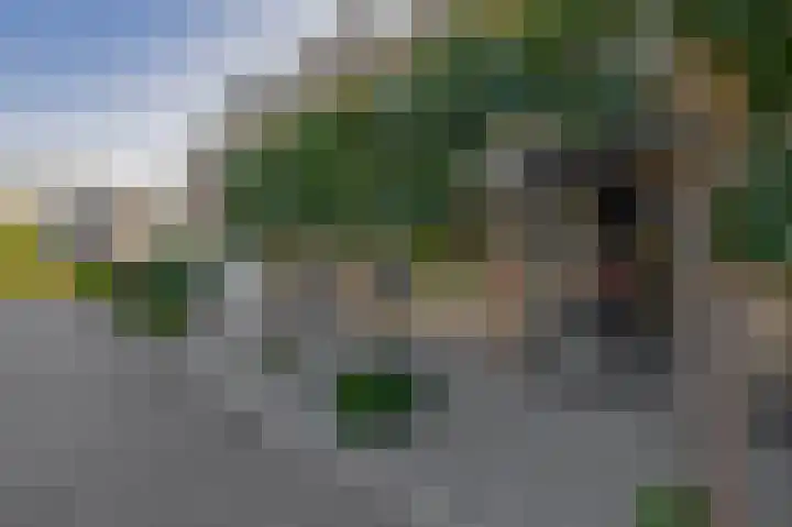 Cornelis Outshoornstraat 6 Rotterdam thumbnail 5