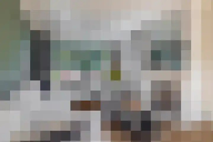 Cornelis Outshoornstraat 6 Rotterdam thumbnail 8