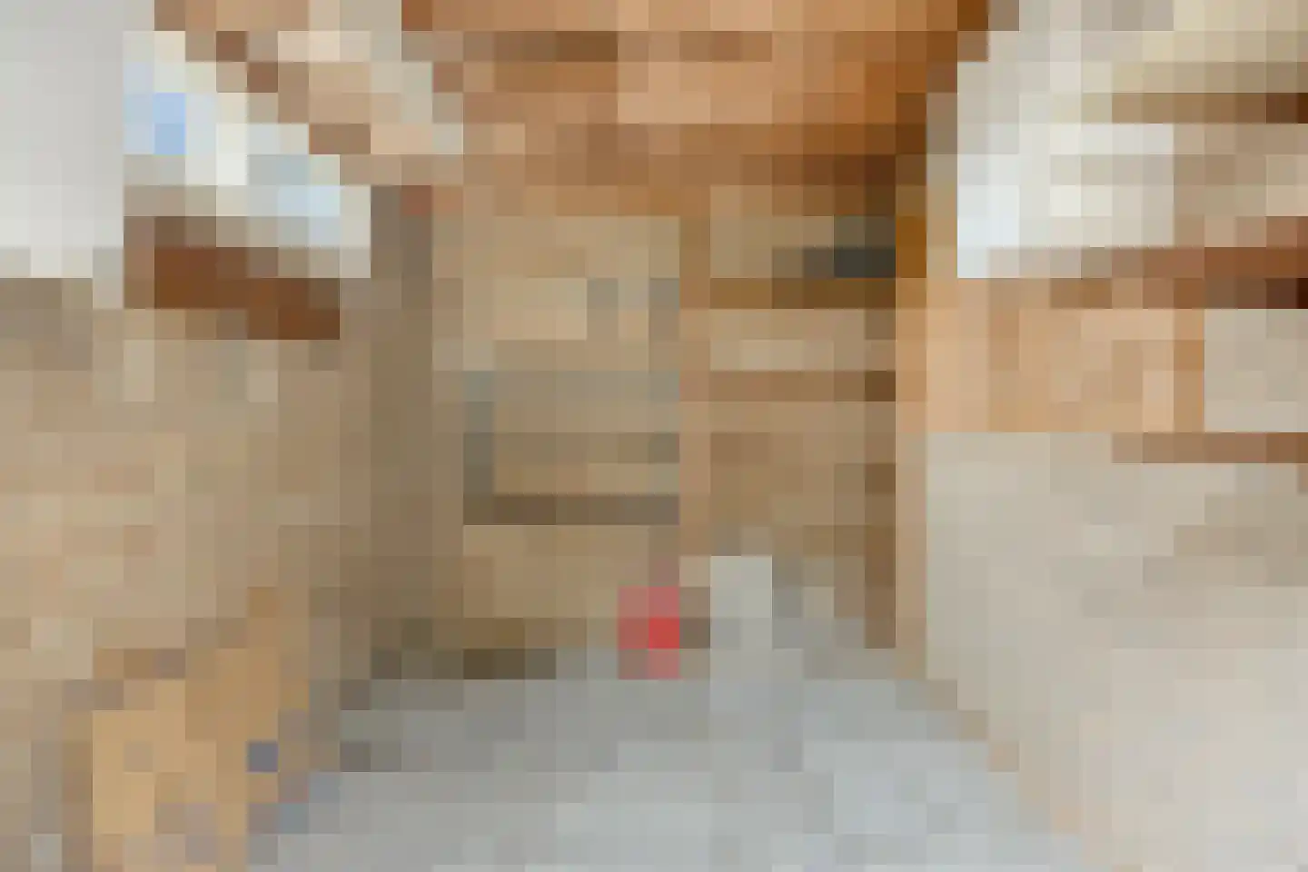 Cornelis Pronklaan 12 Alkmaar thumbnail 20