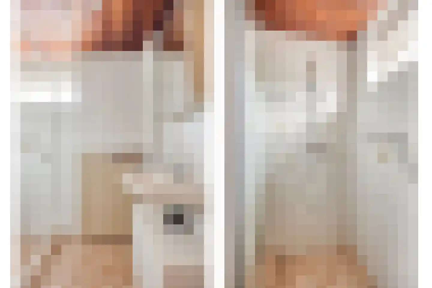 Cornelis Pronklaan 12 Alkmaar thumbnail 28