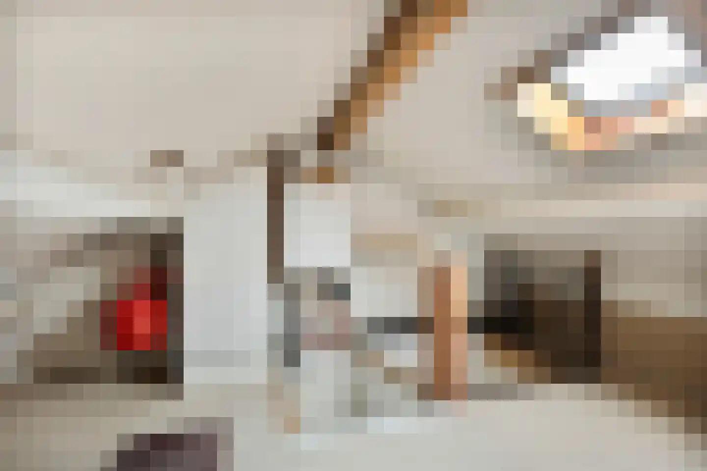 Cornelis Pronklaan 12 Alkmaar thumbnail 32