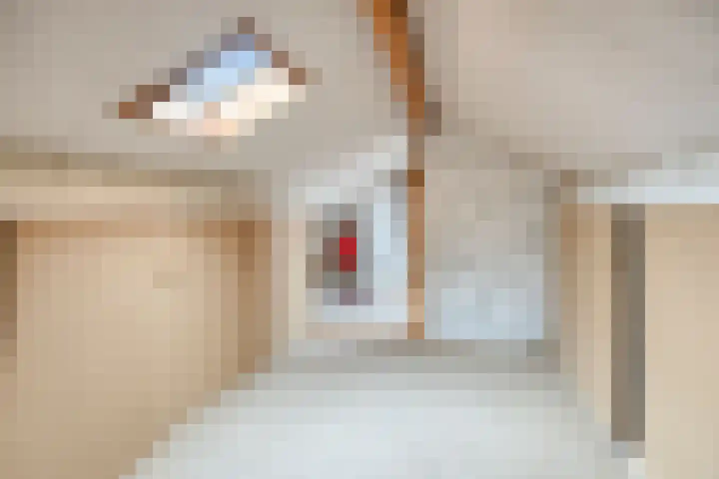 Cornelis Pronklaan 12 Alkmaar thumbnail 34