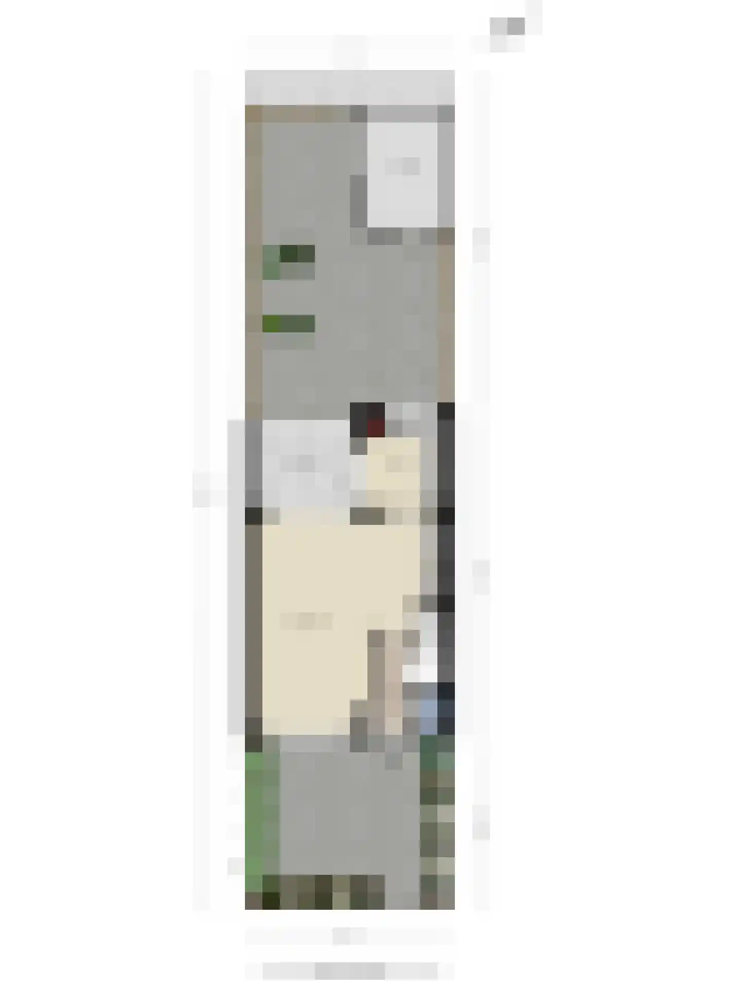 Cornelis Pronklaan 12 Alkmaar thumbnail 38