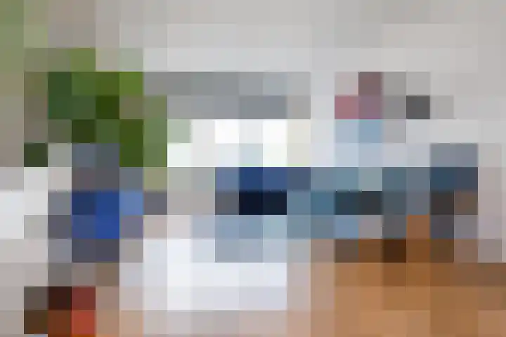 Cornelis Pronklaan 151 Alkmaar thumbnail 10