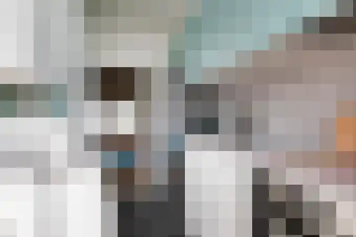 Cornelis Pronklaan 151 Alkmaar thumbnail 17