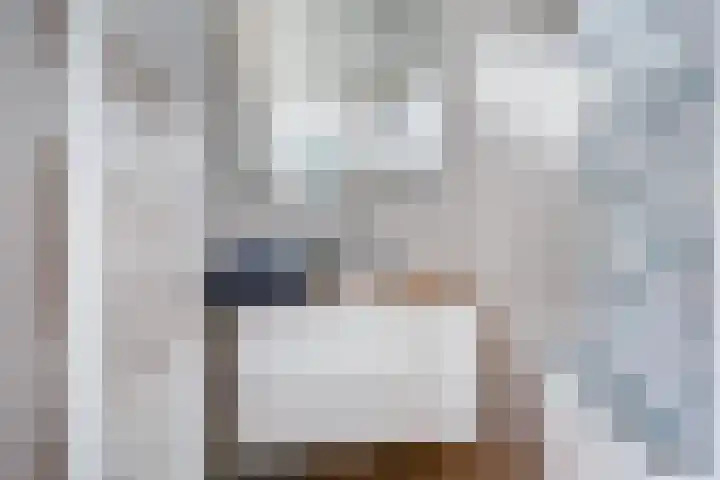 Cornelis Pronklaan 151 Alkmaar thumbnail 18