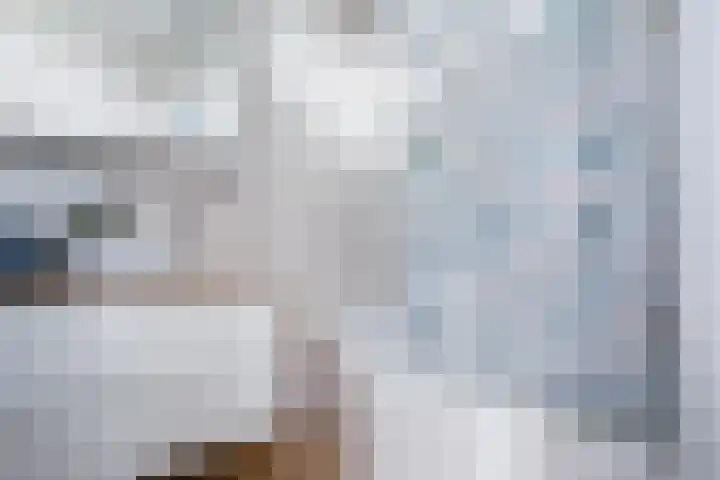 Cornelis Pronklaan 151 Alkmaar thumbnail 20