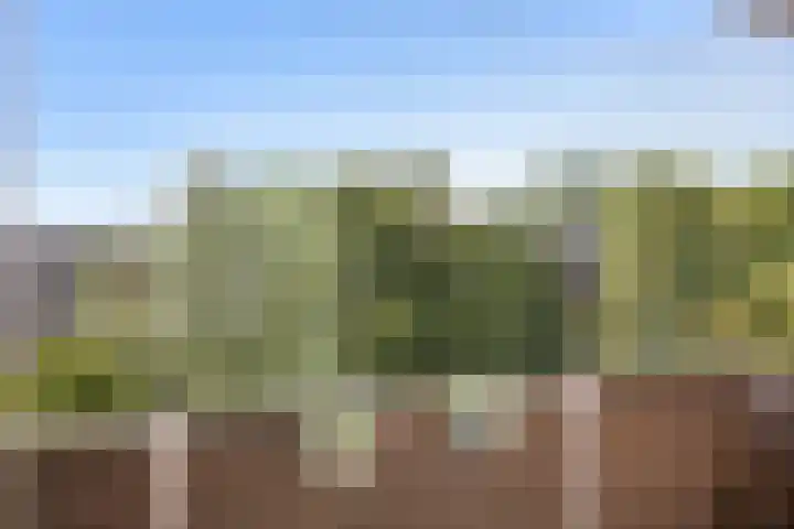 Cornelis Pronklaan 151 Alkmaar thumbnail 21