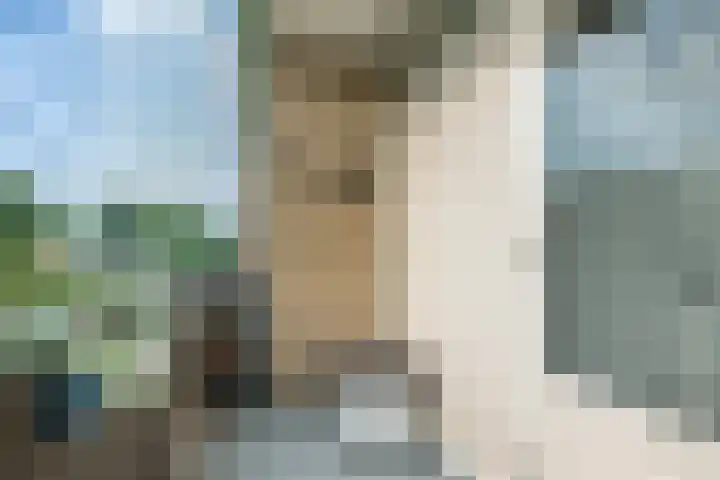 Cornelis Pronklaan 151 Alkmaar thumbnail 22