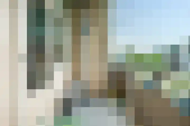 Cornelis Pronklaan 151 Alkmaar thumbnail 23