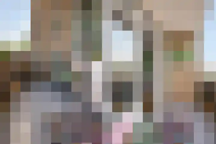 Cornelis Pronklaan 151 Alkmaar thumbnail 29