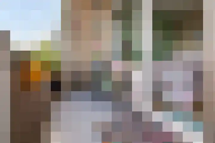 Cornelis Pronklaan 151 Alkmaar thumbnail 30