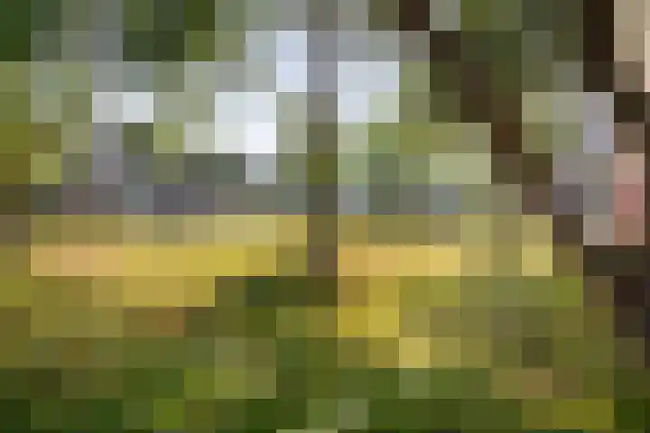 Cornelis Pronklaan 151 Alkmaar thumbnail 6