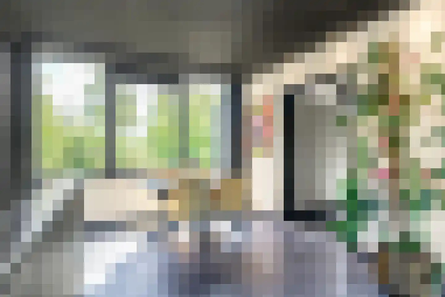Cornelis Pronklaan 177 Alkmaar thumbnail 10