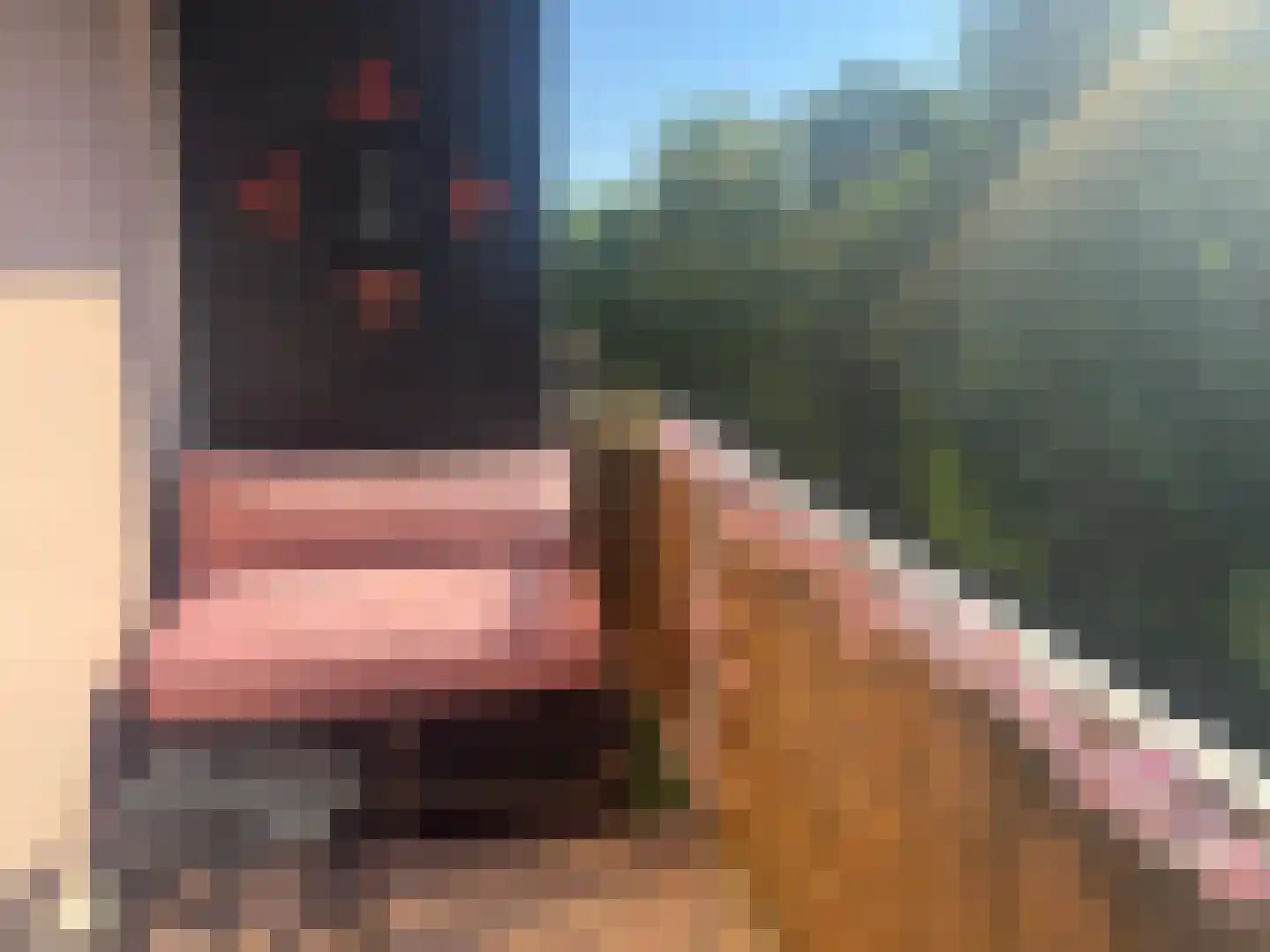Cornelis Pronklaan 177 Alkmaar thumbnail 10