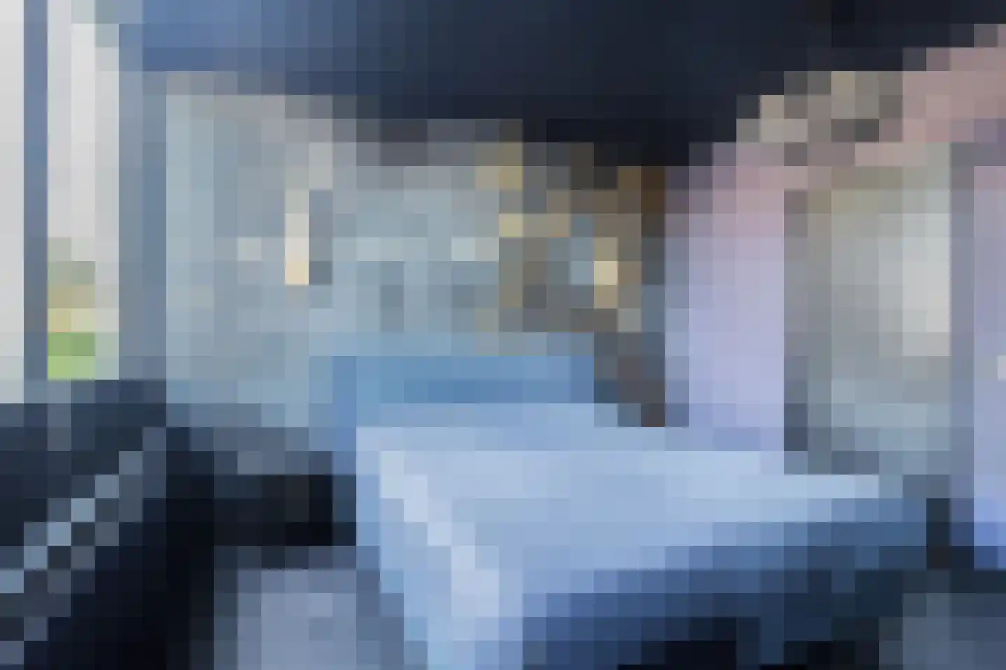 Cornelis Pronklaan 177 Alkmaar thumbnail 22