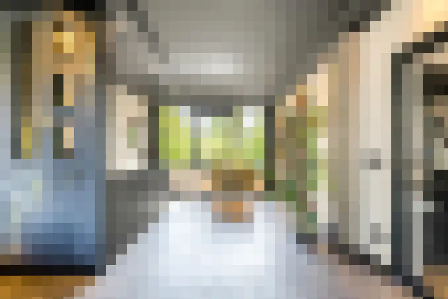 Cornelis Pronklaan 177 Alkmaar thumbnail 8