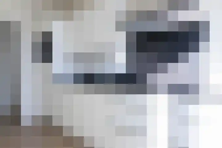 Cornelis Pronklaan 19 Alkmaar thumbnail 10