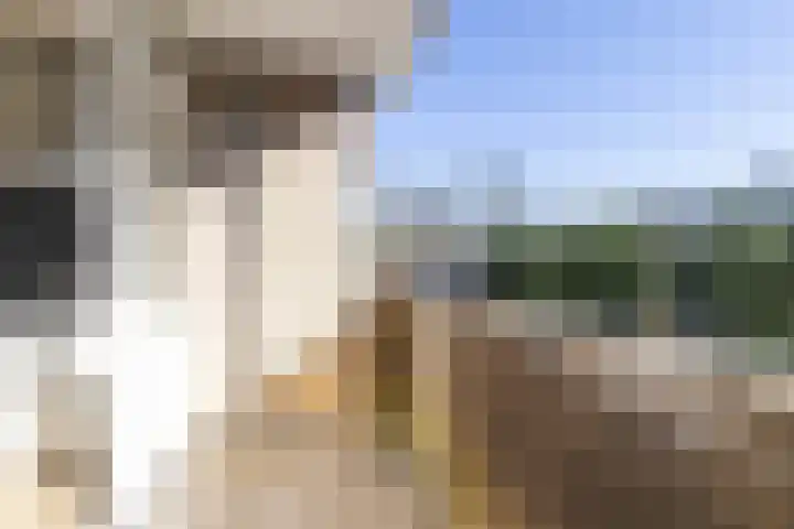 Cornelis Pronklaan 19 Alkmaar thumbnail 12