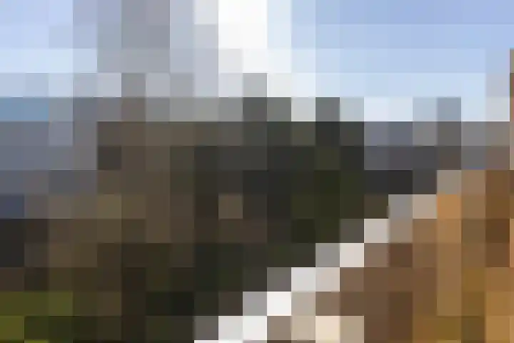 Cornelis Pronklaan 19 Alkmaar thumbnail 13