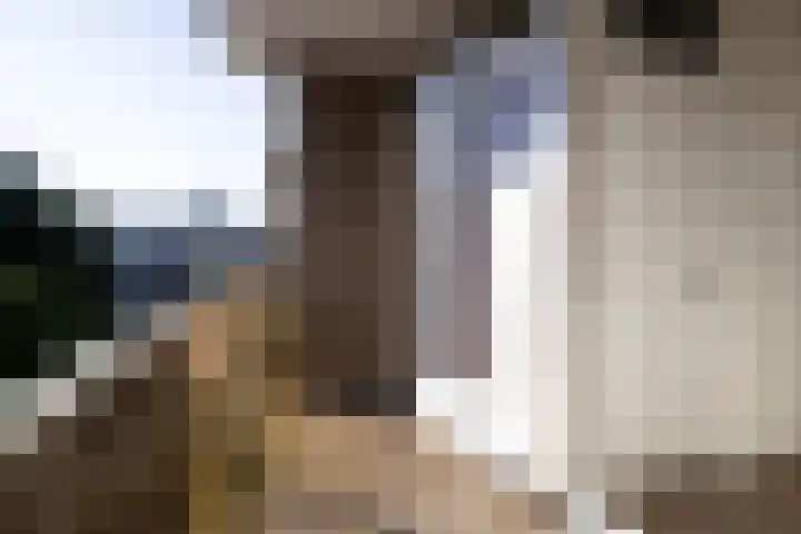 Cornelis Pronklaan 19 Alkmaar thumbnail 14