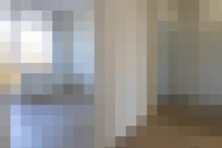 Cornelis Pronklaan 19 Alkmaar thumbnail 17
