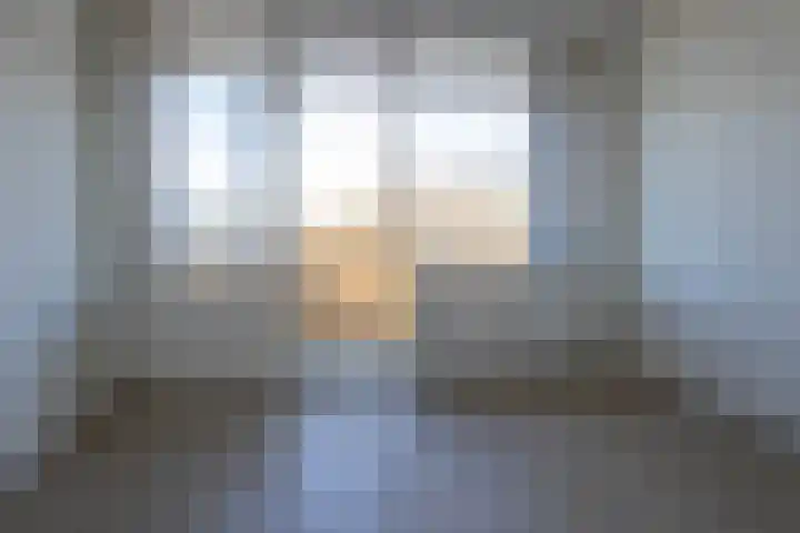 Cornelis Pronklaan 19 Alkmaar thumbnail 18