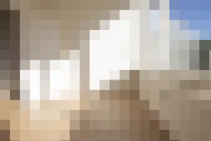 Cornelis Pronklaan 19 Alkmaar thumbnail 28