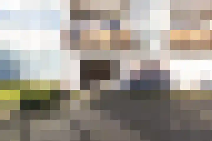 Cornelis Pronklaan 19 Alkmaar thumbnail 35
