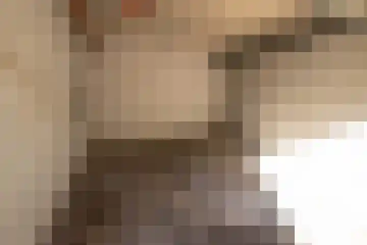 Cornelis Pronklaan 19 Alkmaar thumbnail 36