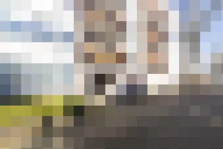 Cornelis Pronklaan 19 Alkmaar thumbnail 38