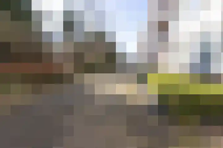 Cornelis Pronklaan 19 Alkmaar thumbnail 39