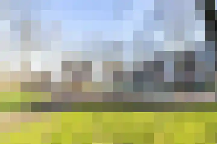 Cornelis Pronklaan 19 Alkmaar thumbnail 41