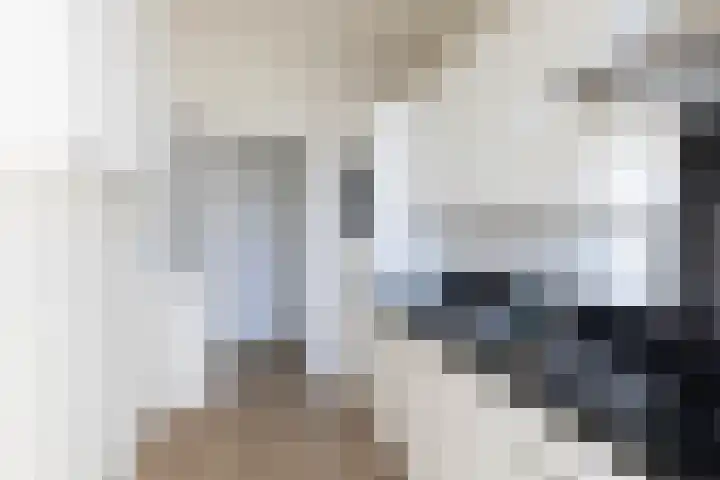 Cornelis Pronklaan 19 Alkmaar thumbnail 6